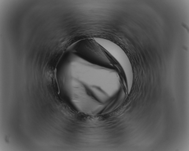 X0000091220235200709061505