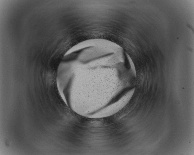 X0000091220236200709061505