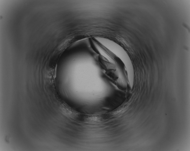 X0000091220237200709061505