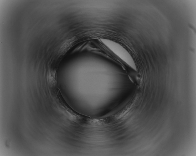 X0000091220239200709061505