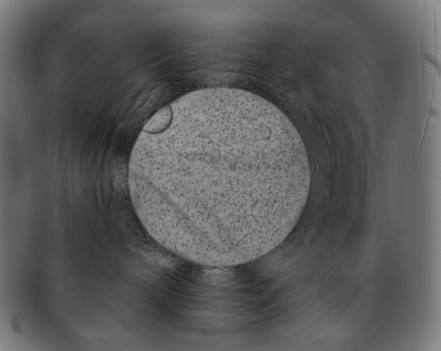 X0000091220240200709061505