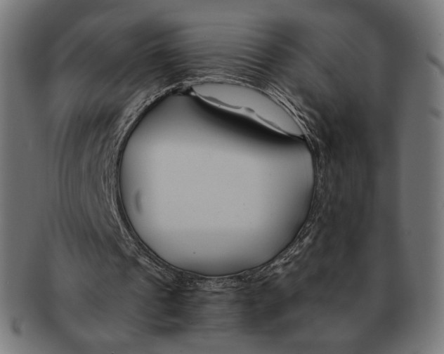 X0000091220241200709061505