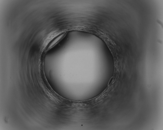 X0000091220242200709061505