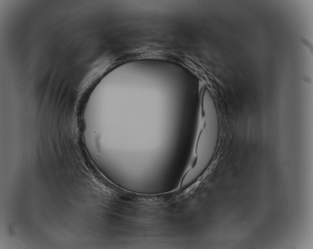 X0000091220245200709061505