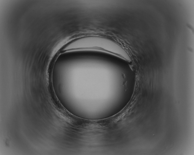 X0000091220246200709061505