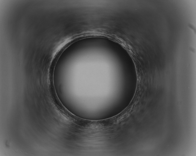 X0000091220248200709061505