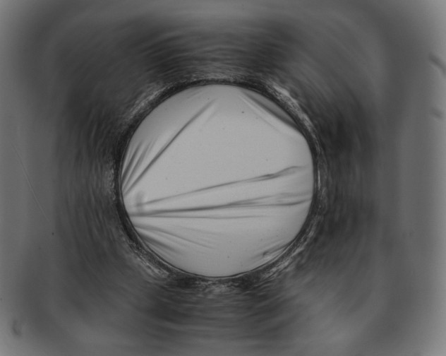 X0000091220249200709061505