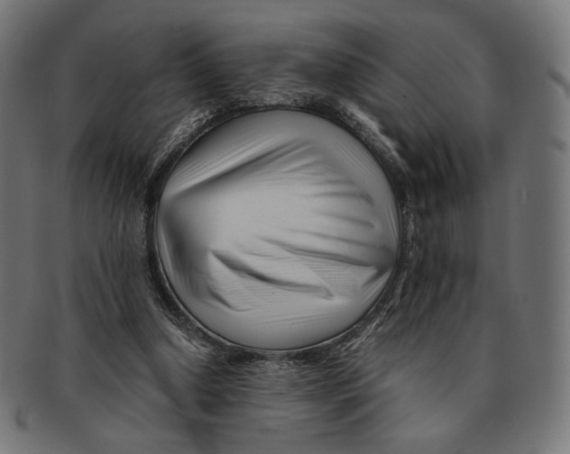 X0000091220250200709061505