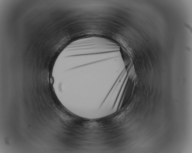 X0000091220253200709061505