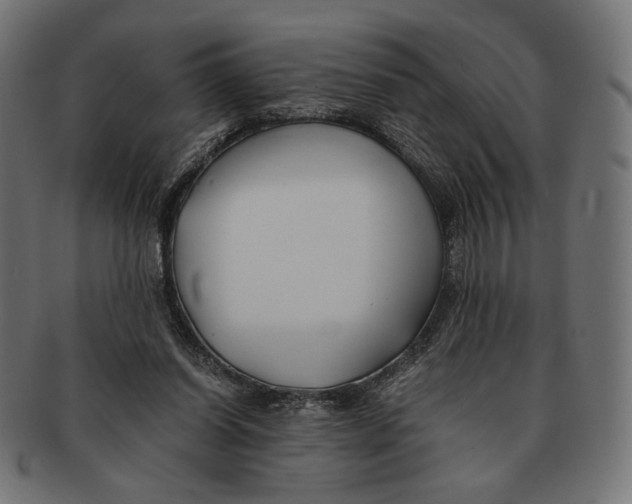 X0000091220254200709061505