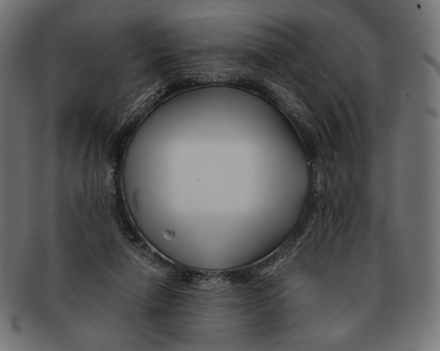 X0000091220258200709061505