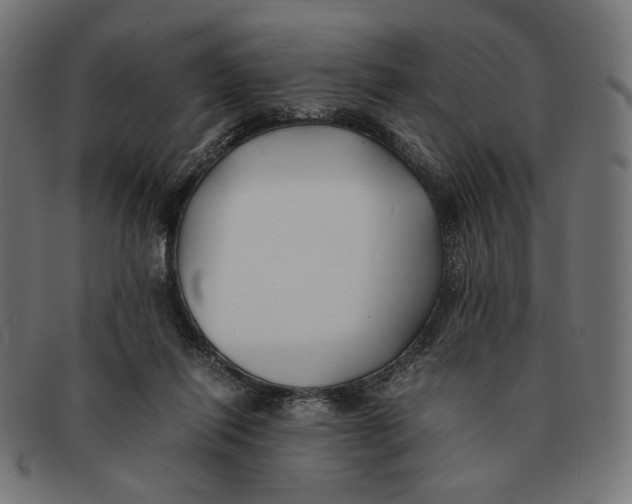 X0000091220262200709061505