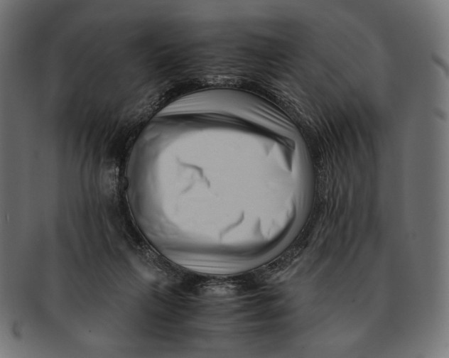 X0000091220263200709061505