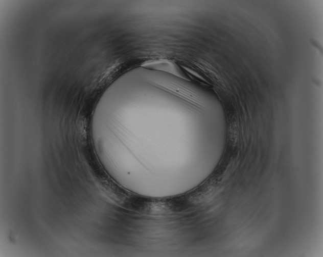 X0000091220264200709061505