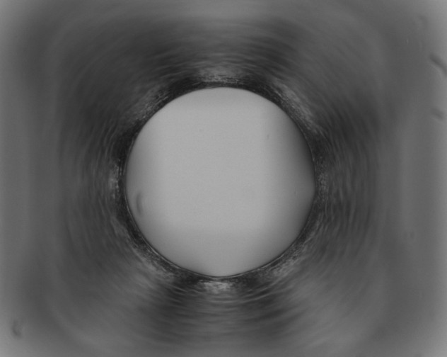 X0000091220265200709061505