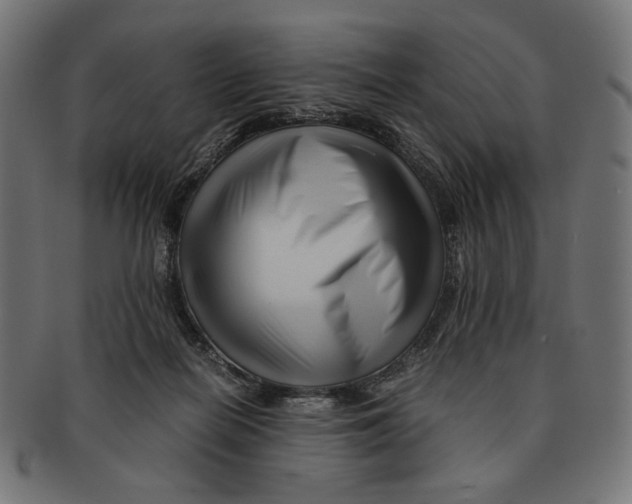 X0000091220266200709061505