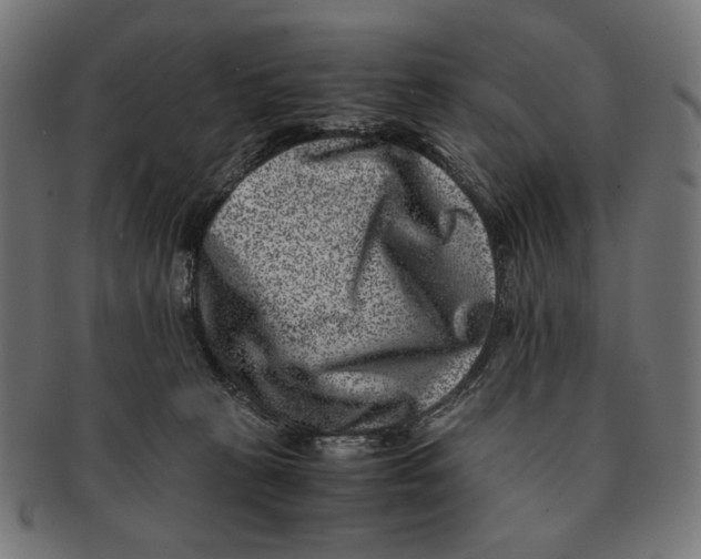 X0000091220273200709061505