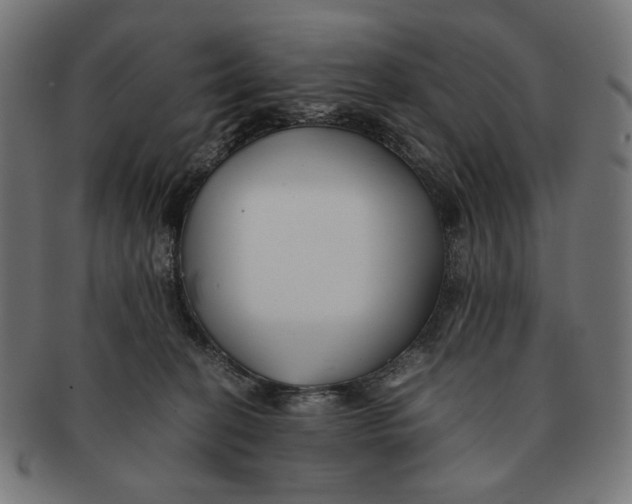 X0000091220274200709061505