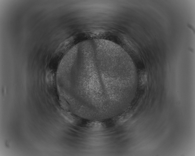 X0000091220276200709061505