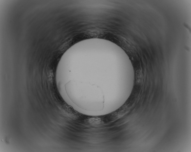 X0000091220279200709061505