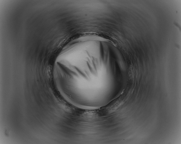 X0000091220280200709061505