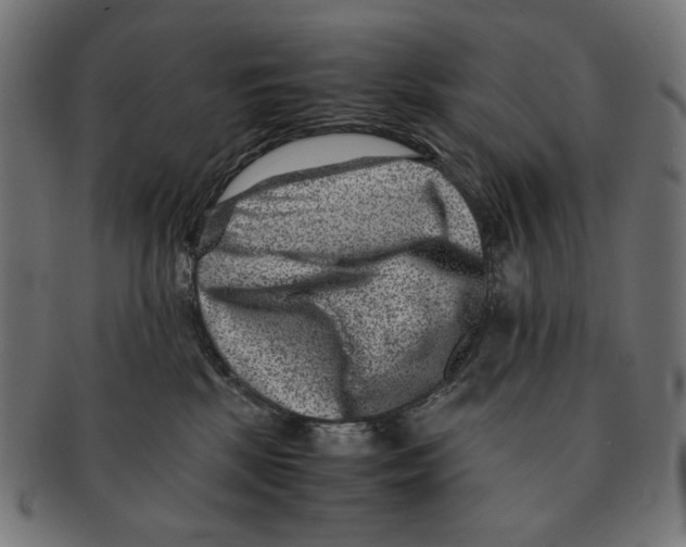 X0000091220281200709061505