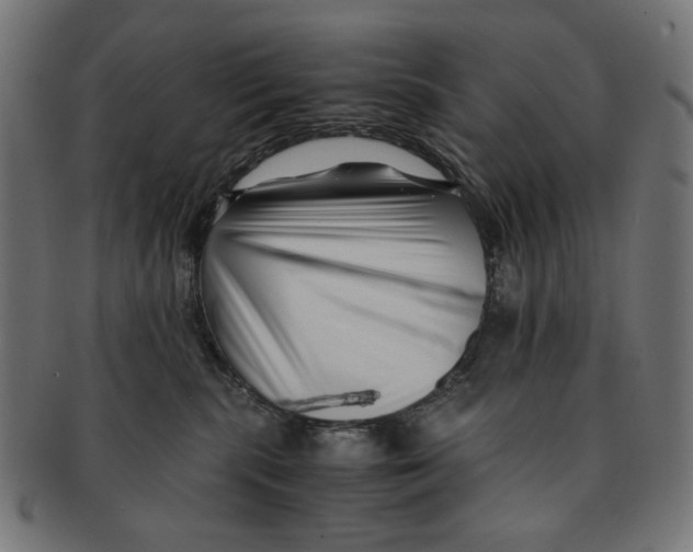 X0000091220283200709061505