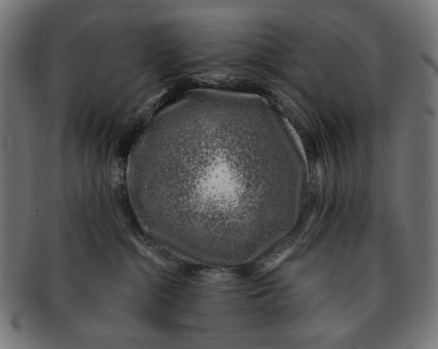 X0000091220284200709061505