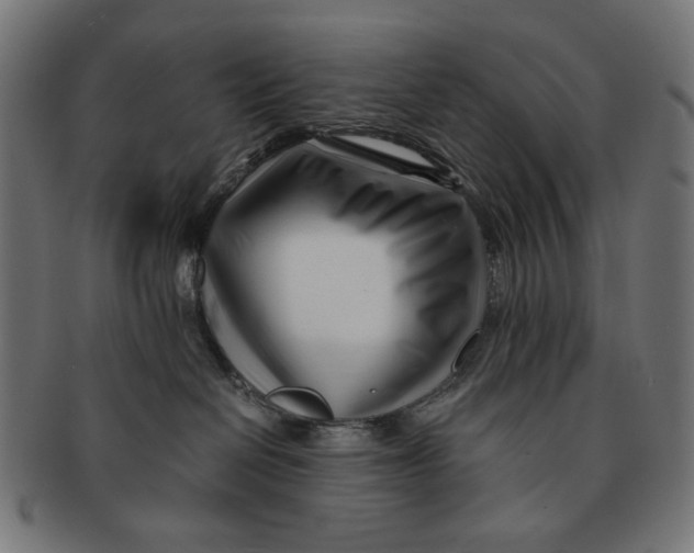 X0000091220286200709061505