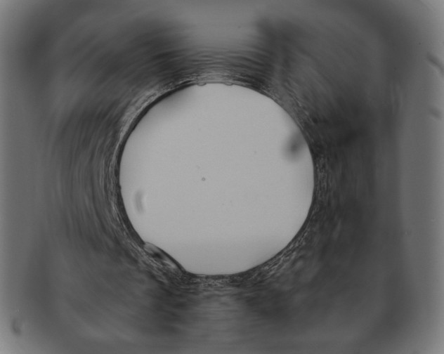 X0000091220289200709061505