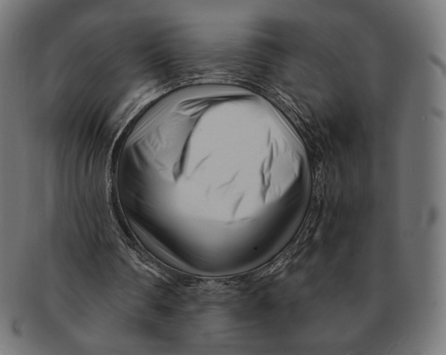 X0000091220290200709061505