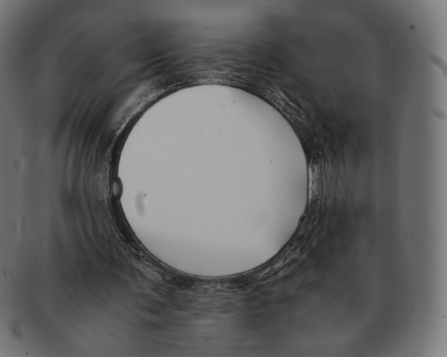 X0000091220291200709061505