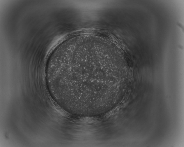 X0000091220293200709061505