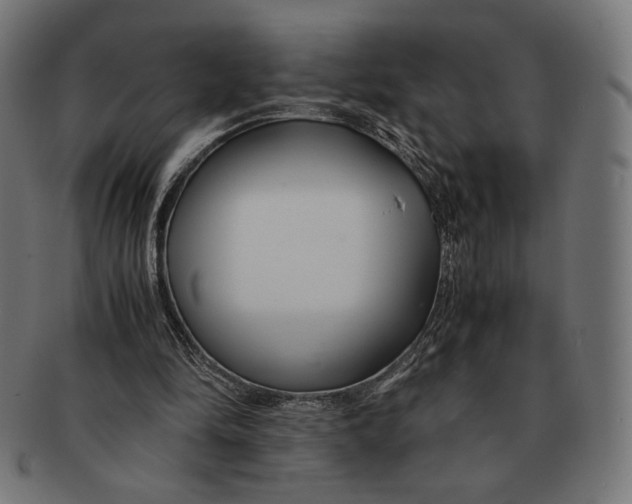 X0000091220294200709061505