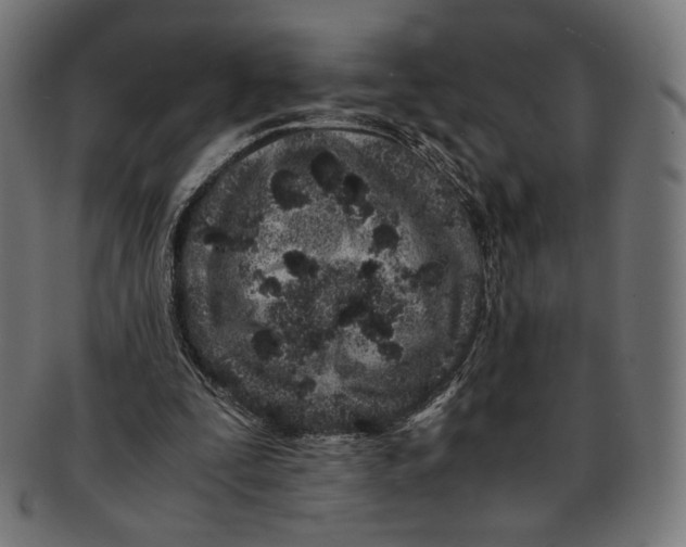 X0000091220295200709061505