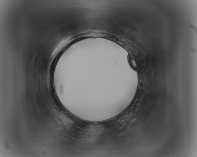 X0000091220296200709061505