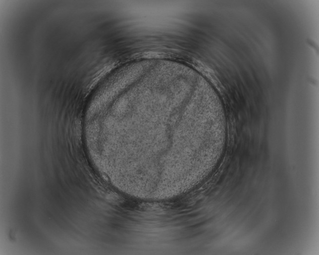 X0000091220297200709061505