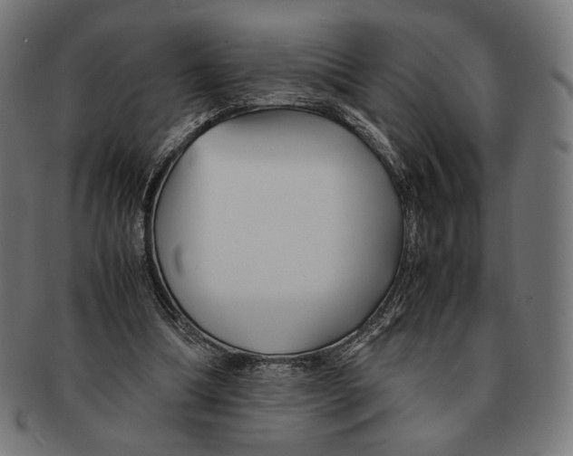 X0000091220298200709061505