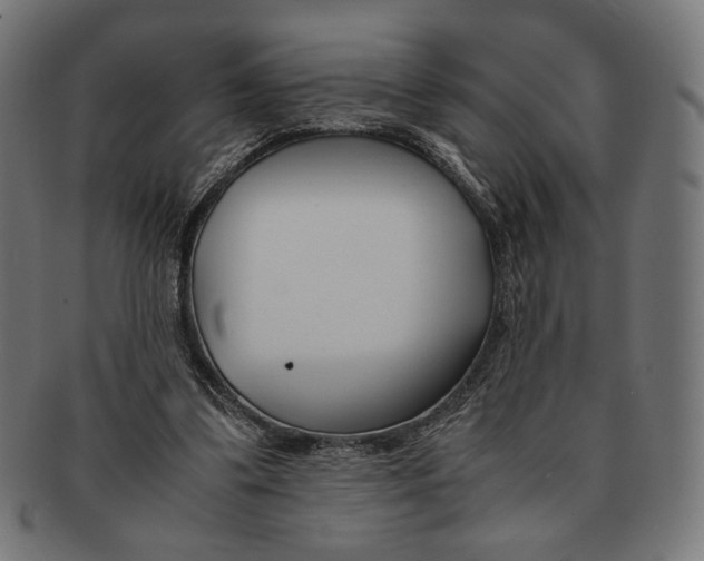 X0000091220299200709061505