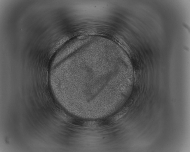 X0000091220301200709061505