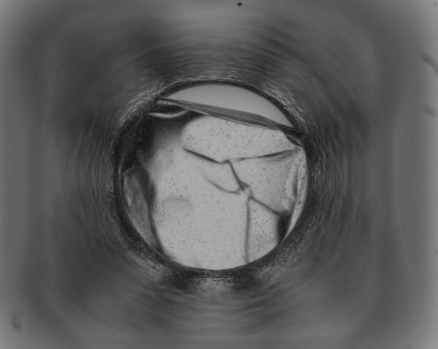 X0000091220303200709061505