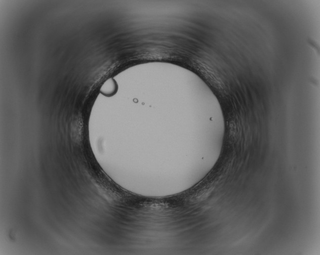 X0000091220304200709061505