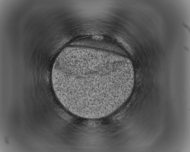 X0000091220305200709061505