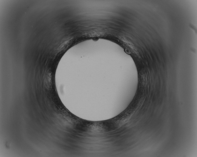 X0000091220308200709061505