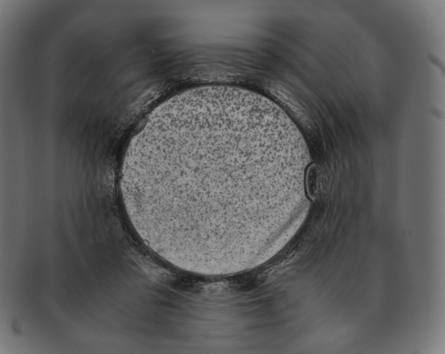 X0000091220309200709061505