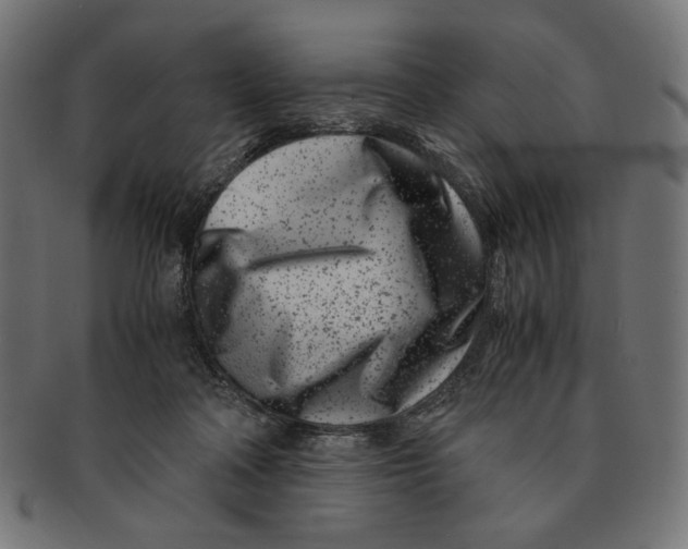 X0000091220314200709061504