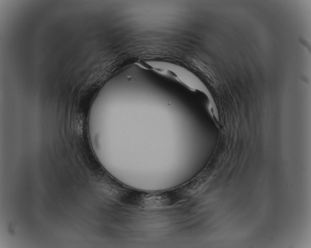 X0000091220315200709061504