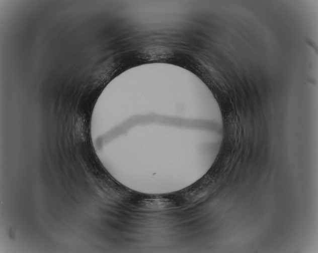 X0000091220316200709061504