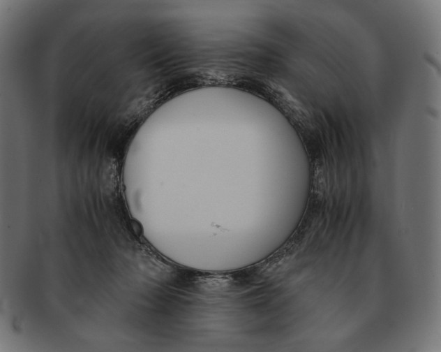 X0000091220318200709061504