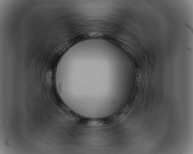 X0000091220319200709061504